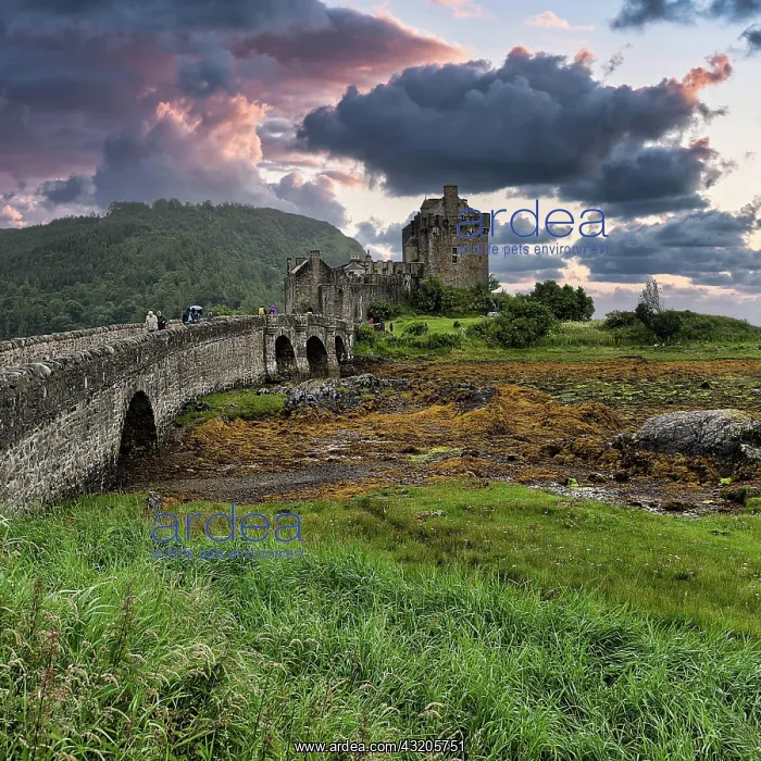 : Eilean Donan Castle, Evening Sky, Dornie, West Highlands : Eilean Donan Castle, Evening Sky, Dornie, West Highlands