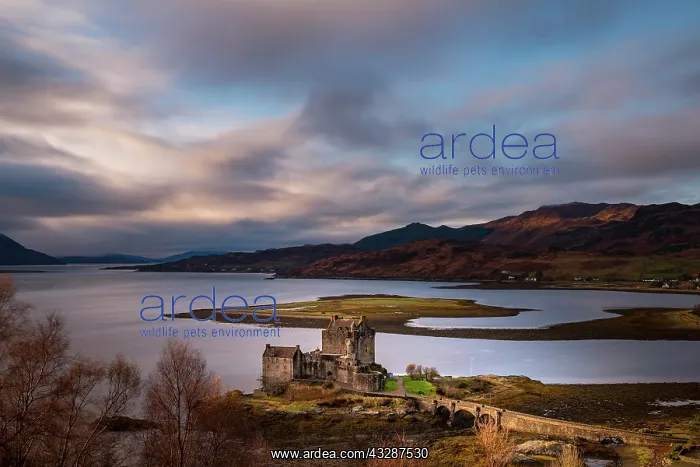 : Eilean Donan Castle in the foreground with Loch : Eilean Donan Castle in the foreground with Loch