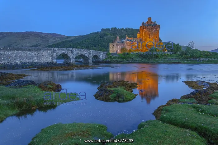 : Eilean Donan Castle - lighted up historic ruin located : Eilean Donan Castle - lighted up historic ruin located