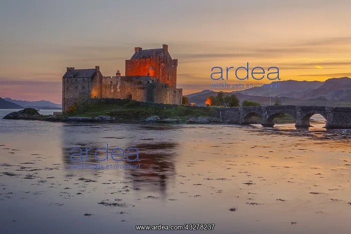: Eilean Donan Castle - lighted up historic ruin located : Eilean Donan Castle - lighted up historic ruin located