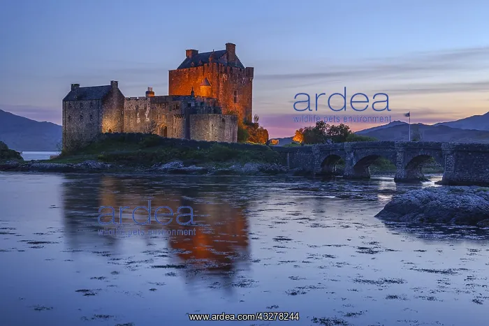 : Eilean Donan Castle - lighted up historic ruin located : Eilean Donan Castle - lighted up historic ruin located