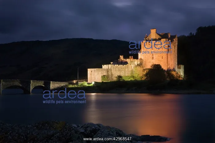: Eilean Donan Castle - being lit up at dusk - November : Eilean Donan Castle - being lit up at dusk - November