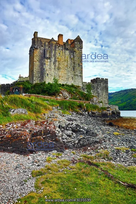  : Eilean Donan Castle on Loch Duich, Kyle of Lochalsh