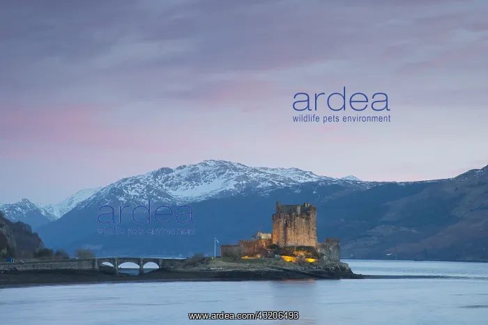 : Eilean Donan Castle at Loch Duich - Kyle of Lochalsh : Eilean Donan Castle at Loch Duich - Kyle of Lochalsh