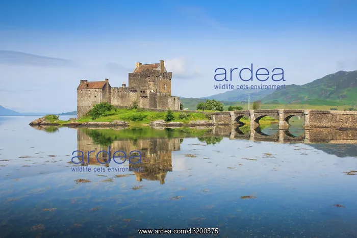 : Eilean Donan Castle, Scotland, United Kingdom, Europe : Eilean Donan Castle, Scotland, United Kingdom, Europe