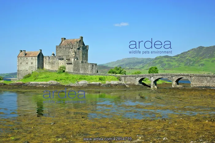 : Eilean Donan Castle - view of castle located in : Eilean Donan Castle - view of castle located in