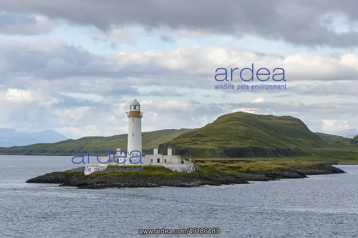 : Eilean Musdile Lighthouse - Oban, Scotland, United : Eilean Musdile Lighthouse - Oban, Scotland, United