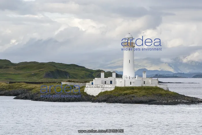 : Eilean Musdile Lighthouse - Oban, Scotland, United : Eilean Musdile Lighthouse - Oban, Scotland, United