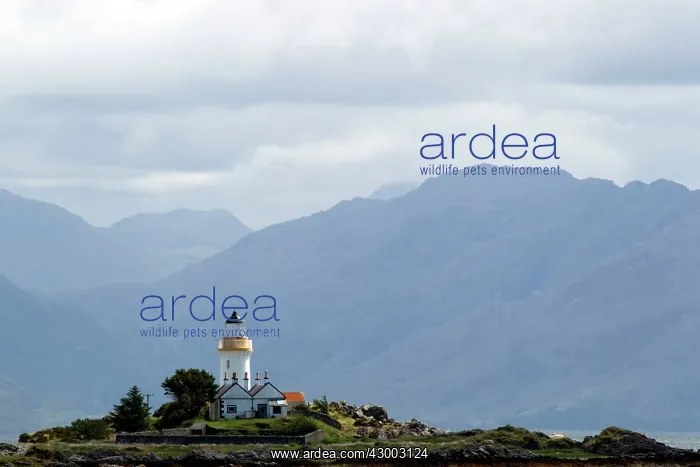: Eilean Sionnach Lighthouse : Eilean Sionnach Lighthouse