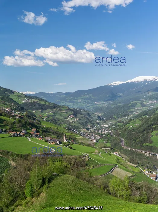 : Eisack valley near Klausen, view towards : Eisack valley near Klausen, view towards