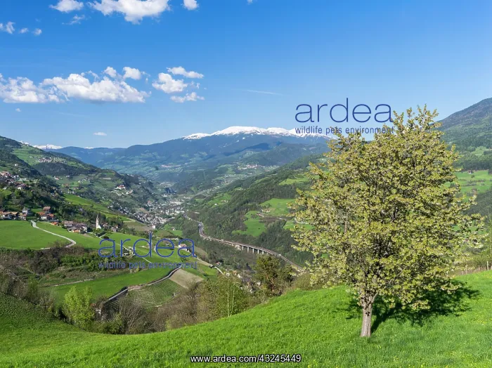 : Eisack valley near Klausen, view towards : Eisack valley near Klausen, view towards