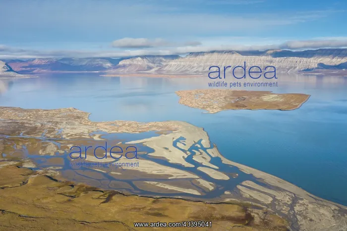 : Ekmanfjord aerial : Ekmanfjord aerial