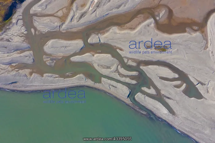 : Ekmanfjord aerial : Ekmanfjord aerial