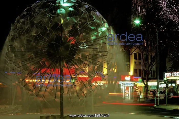 : El Alamein Fountain at night : El Alamein Fountain at night