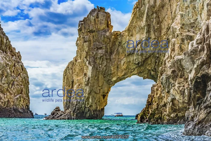: El Archo, Los Cabos, Cabo San Lucas, Baja Mexico : El Archo, Los Cabos, Cabo San Lucas, Baja Mexico