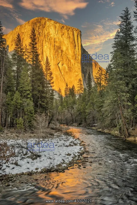 : El Capitan and Merced River, Yosemite, California : El Capitan and Merced River, Yosemite, California
