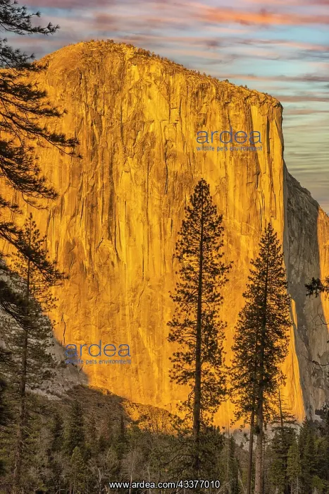 : El Capitan, Yosemite, California : El Capitan, Yosemite, California