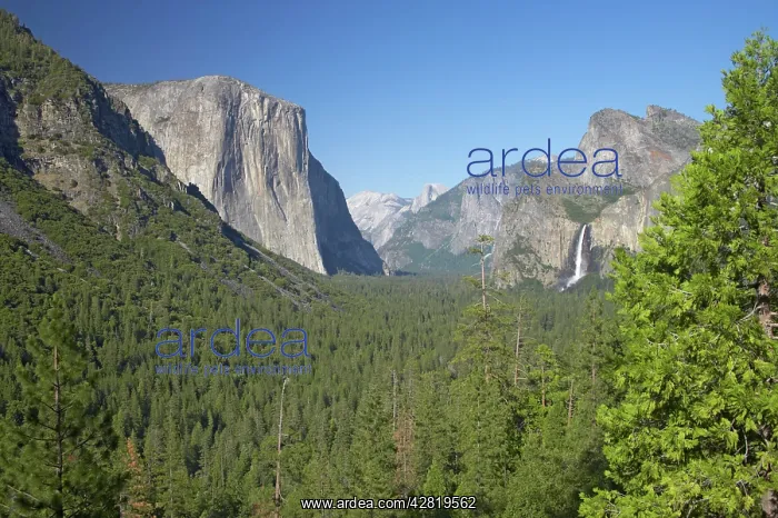  : El Capitan in Yosemite Valley