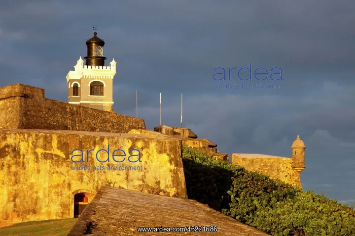 : El Morro Fort in old San Juan, Puerto Rico : El Morro Fort in old San Juan, Puerto Rico
