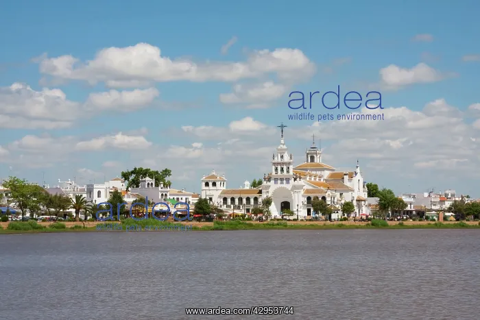  : El Rocio. Coto Donana - Southern Spain