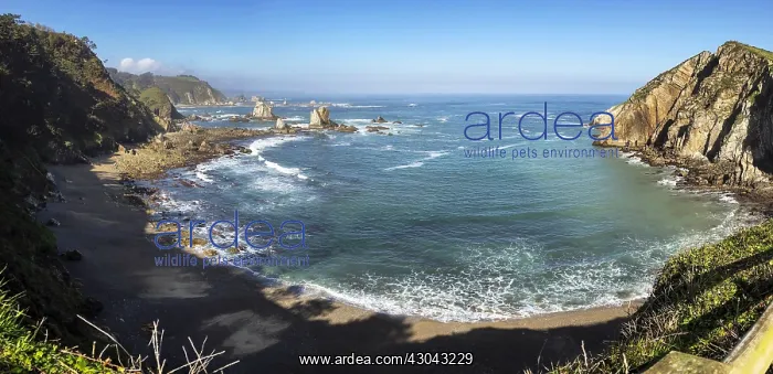  : El Silencio beach - Asturias, Spain