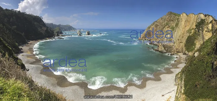  : El Silencio beach - Asturias, Spain