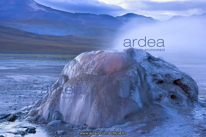 : El Tatio Geysers - geothermal field of hot springs : El Tatio Geysers - geothermal field of hot springs