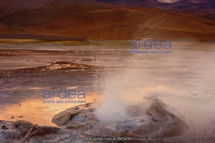 : El Tatio Geysers - geothermal field of hot springs : El Tatio Geysers - geothermal field of hot springs