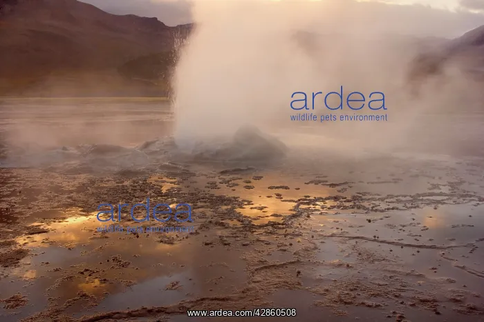 : El Tatio Geysers - geothermal field of hot springs : El Tatio Geysers - geothermal field of hot springs