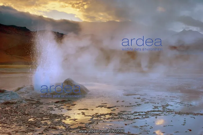 : El Tatio Geysers - geothermal field of hot springs : El Tatio Geysers - geothermal field of hot springs