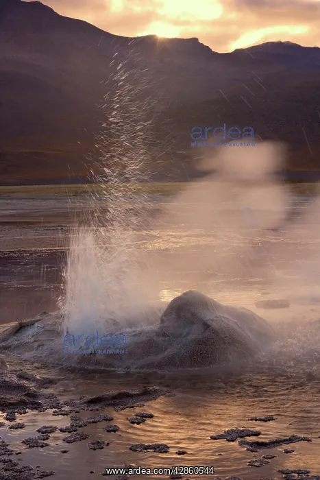 : El Tatio Geysers - geothermal field of hot springs : El Tatio Geysers - geothermal field of hot springs