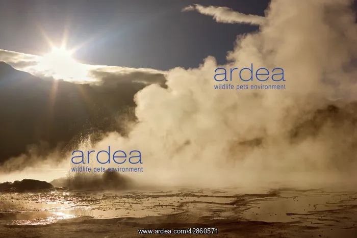 : El Tatio Geysers - geothermal field of hot springs : El Tatio Geysers - geothermal field of hot springs