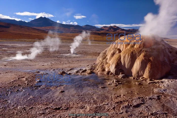 : El Tatio Geysers - geothermal field of hot springs : El Tatio Geysers - geothermal field of hot springs