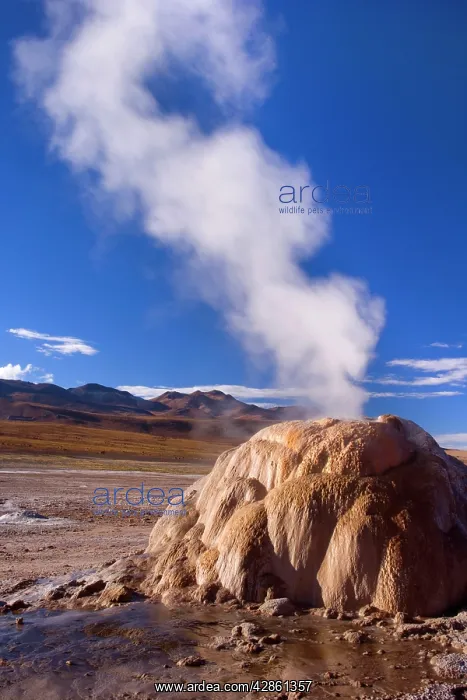 : El Tatio Geysers - geothermal field of hot springs : El Tatio Geysers - geothermal field of hot springs