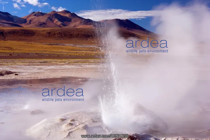  : El Tatio Geysers - geothermal field of hot springs