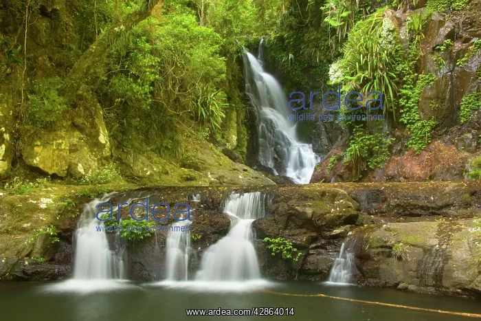  : Elabana Falls - beautiful waterfall amidst lush