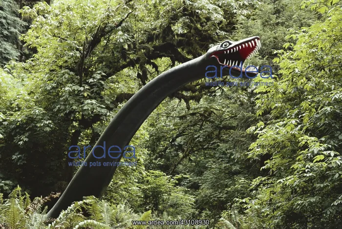 : Elasmosaurus : Elasmosaurus