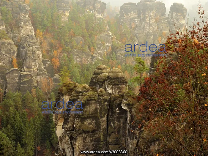 : Elbe Sandstone Mountains : Elbe Sandstone Mountains