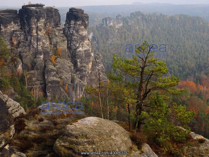 : Elbe Sandstone Mountains : Elbe Sandstone Mountains