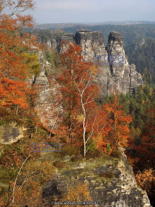 : Elbe Sandstone Mountains : Elbe Sandstone Mountains