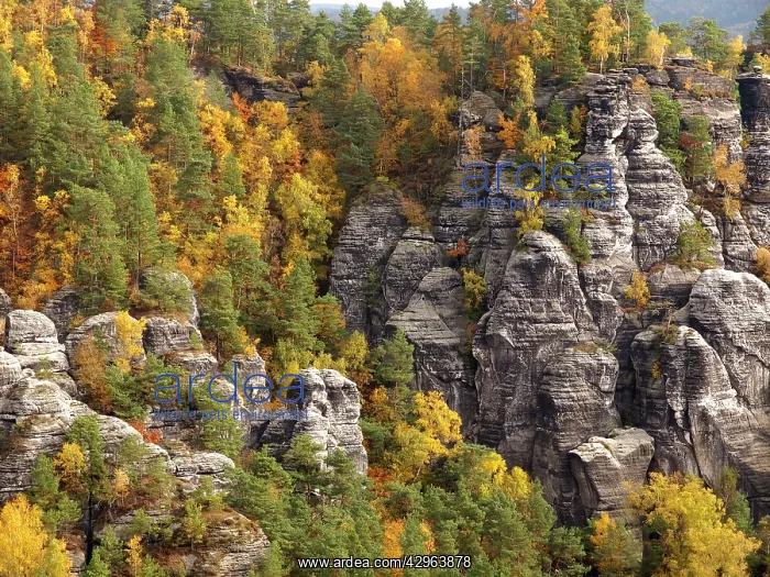 : Elbe Sandstone Mountains bastion - Autumn : Elbe Sandstone Mountains bastion - Autumn