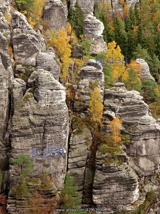 : Elbe Sandstone Mountains bastion - Autumn : Elbe Sandstone Mountains bastion - Autumn
