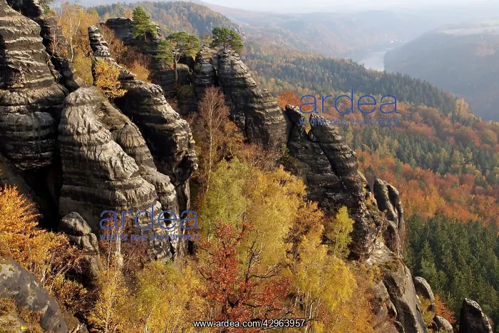 : Elbe Sandstone Mountains bastion - Autumn : Elbe Sandstone Mountains bastion - Autumn