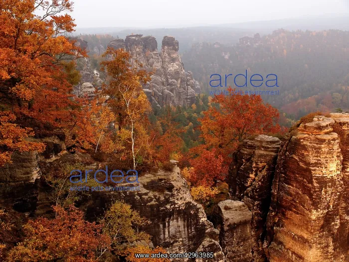 : Elbe Sandstone Mountains bastion - Autumn : Elbe Sandstone Mountains bastion - Autumn