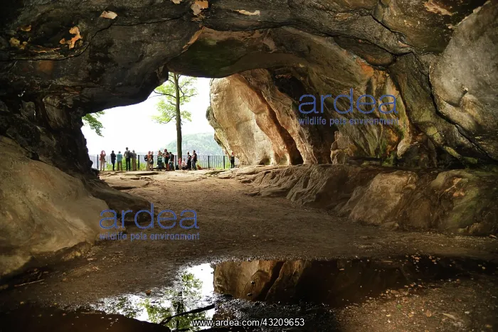 : The Elbe Sandstone Mountains in Saxony are characterised : The Elbe Sandstone Mountains in Saxony are characterised