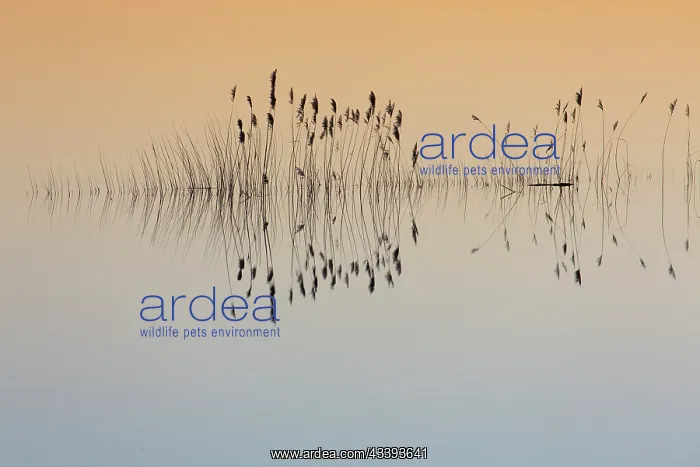 : Elbe Valley flood : Elbe Valley flood