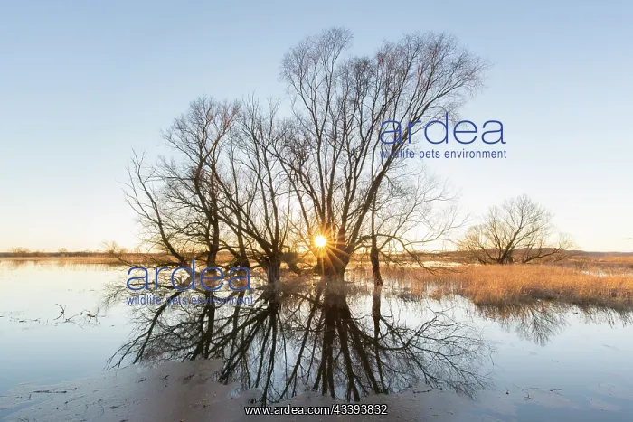 : Elbe Valley flood : Elbe Valley flood