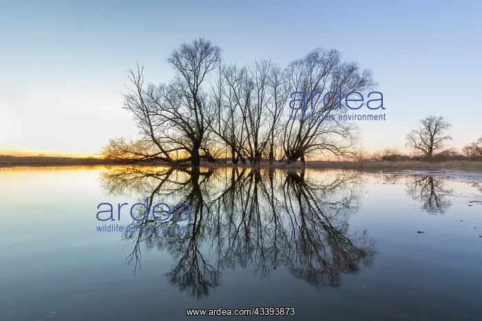 : Elbe Valley flood : Elbe Valley flood