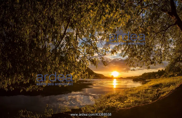: Elbe Valley near Meissen : Elbe Valley near Meissen