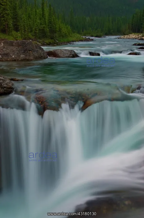 : Elbow Falls : Elbow Falls
